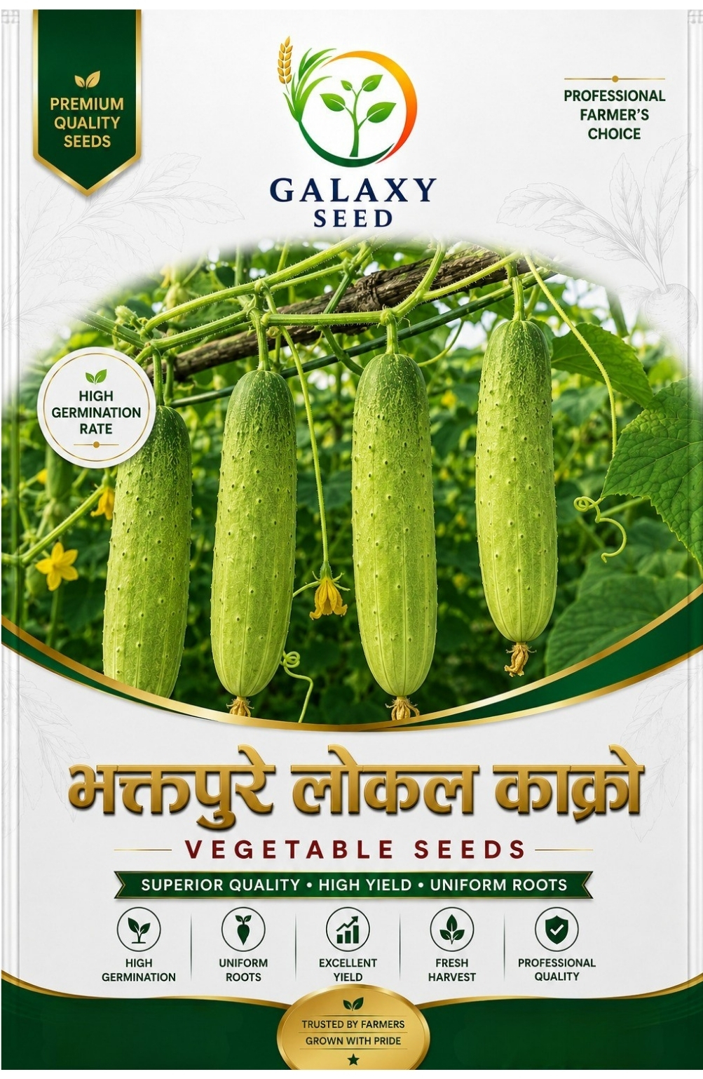 Bhaktapur Local Cucumber – Heirloom Nepali Cucumber